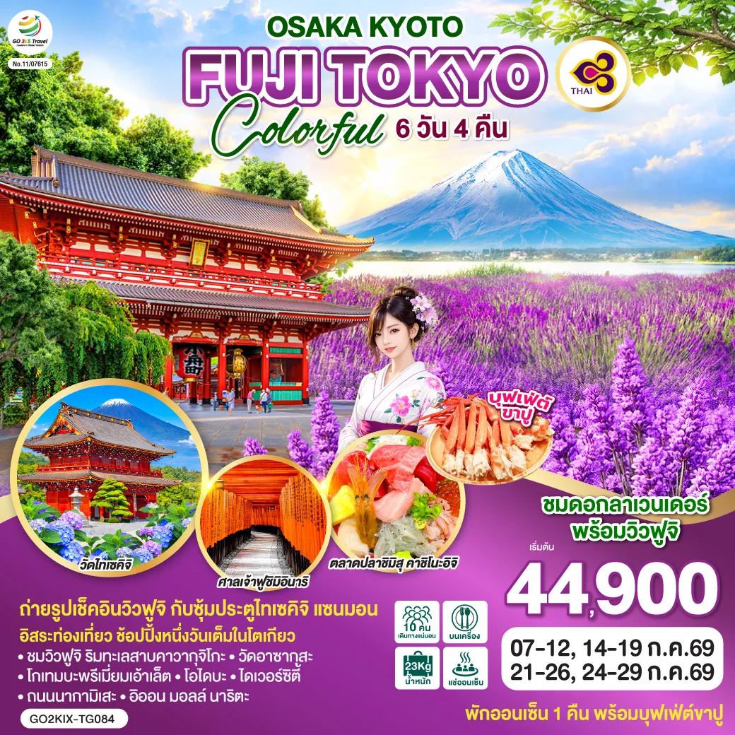 OSAKA KYOTO FUJI TOKYO COLORFUL 6D 4N โดยสายการบินไทย [TG]