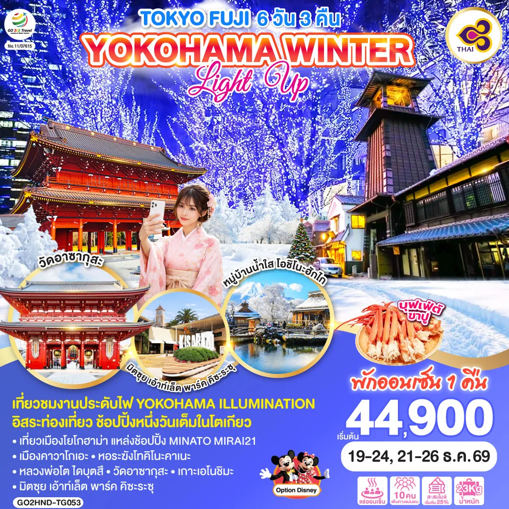 TOKYO FUJI YOKOHAMA WINTER LIGHT UP  6D 3N โดยสายการบินไทย [TG]